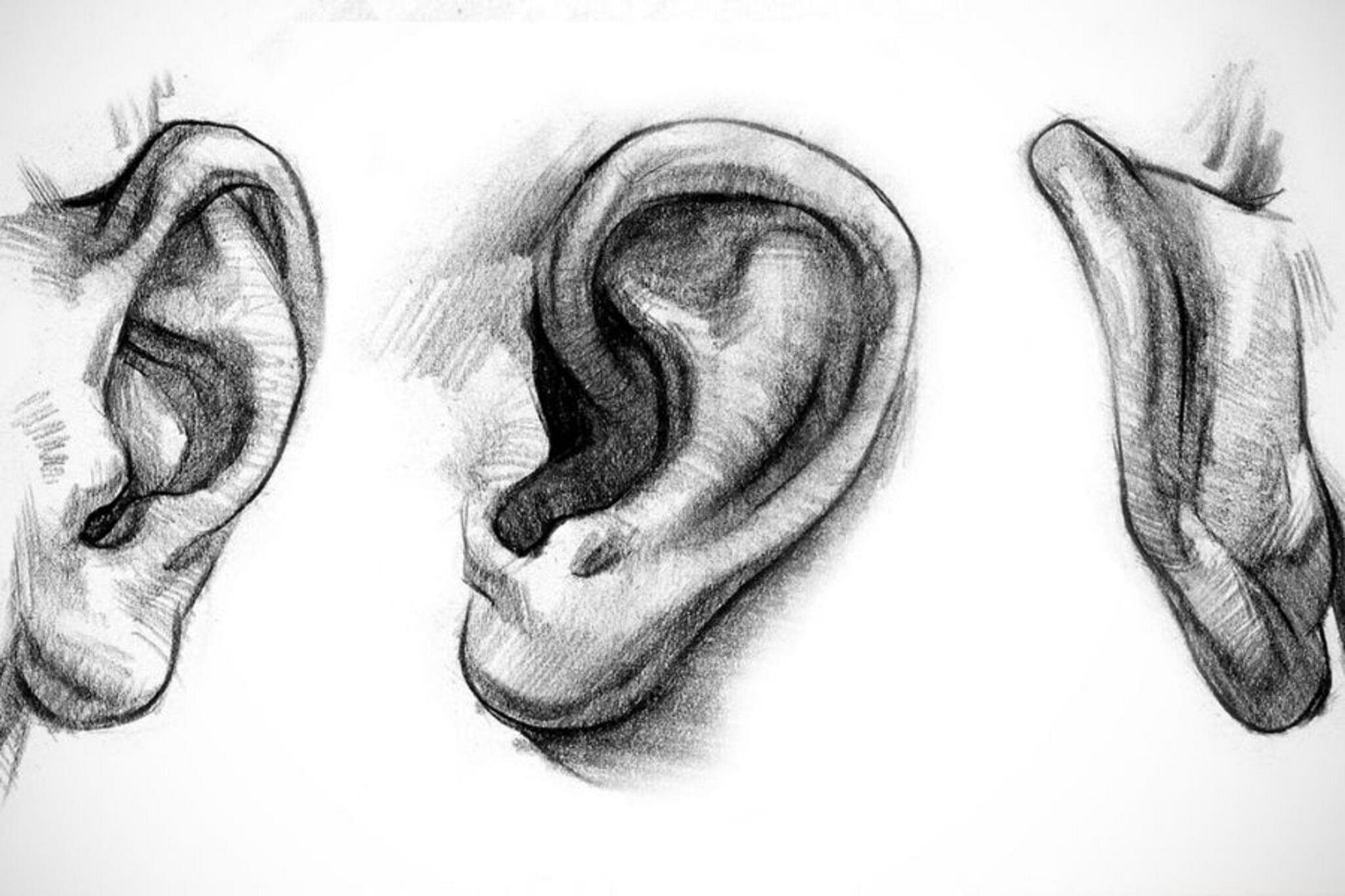 How to Draw Ears – DIY