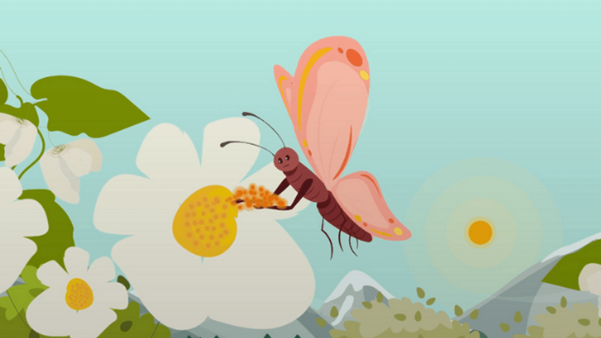 How to How Do Butterflies Help Nature? DIY